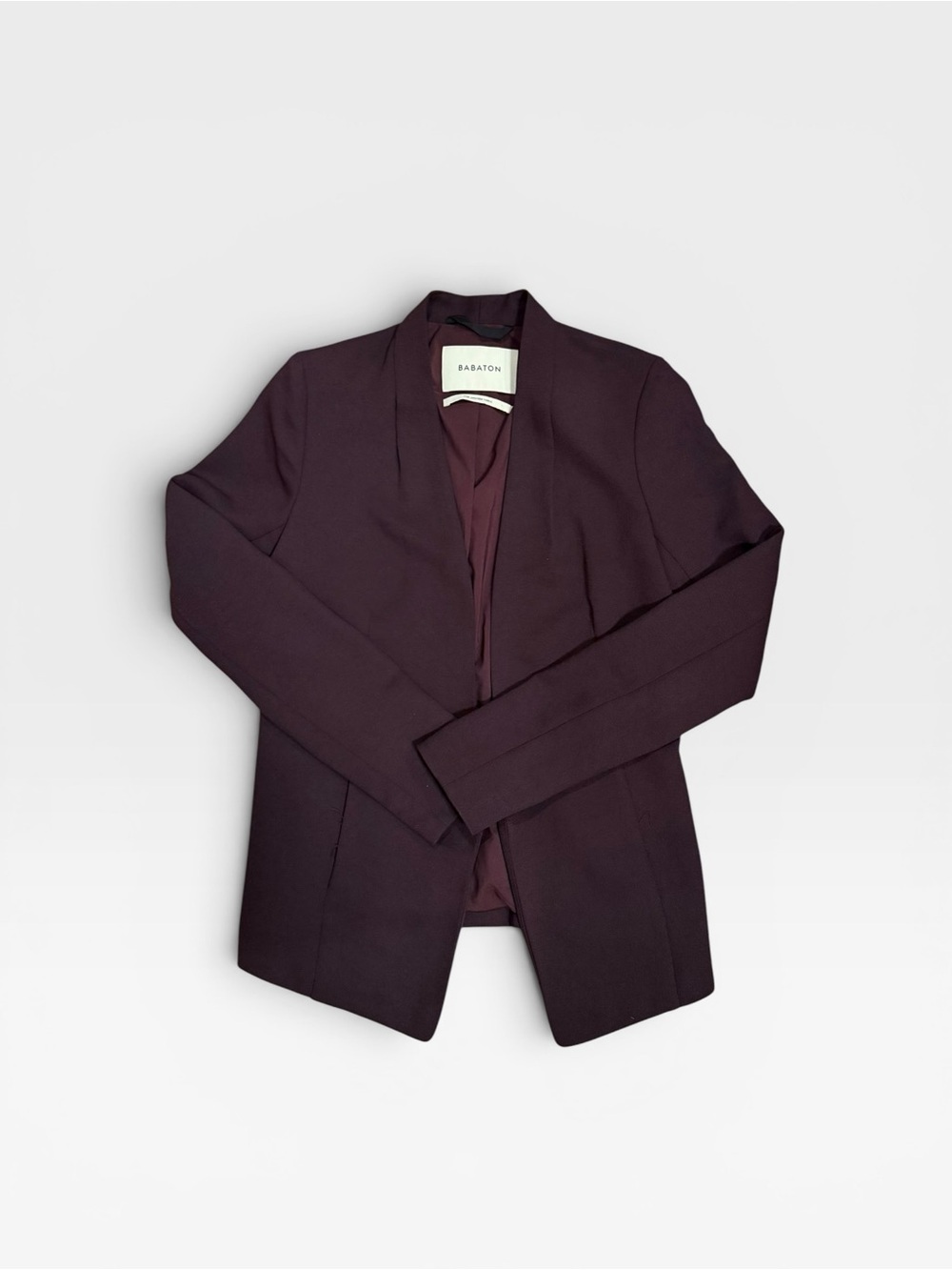 Aritzia Babaton Keith Blazer